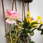 Rhea / рея 3* Balchik